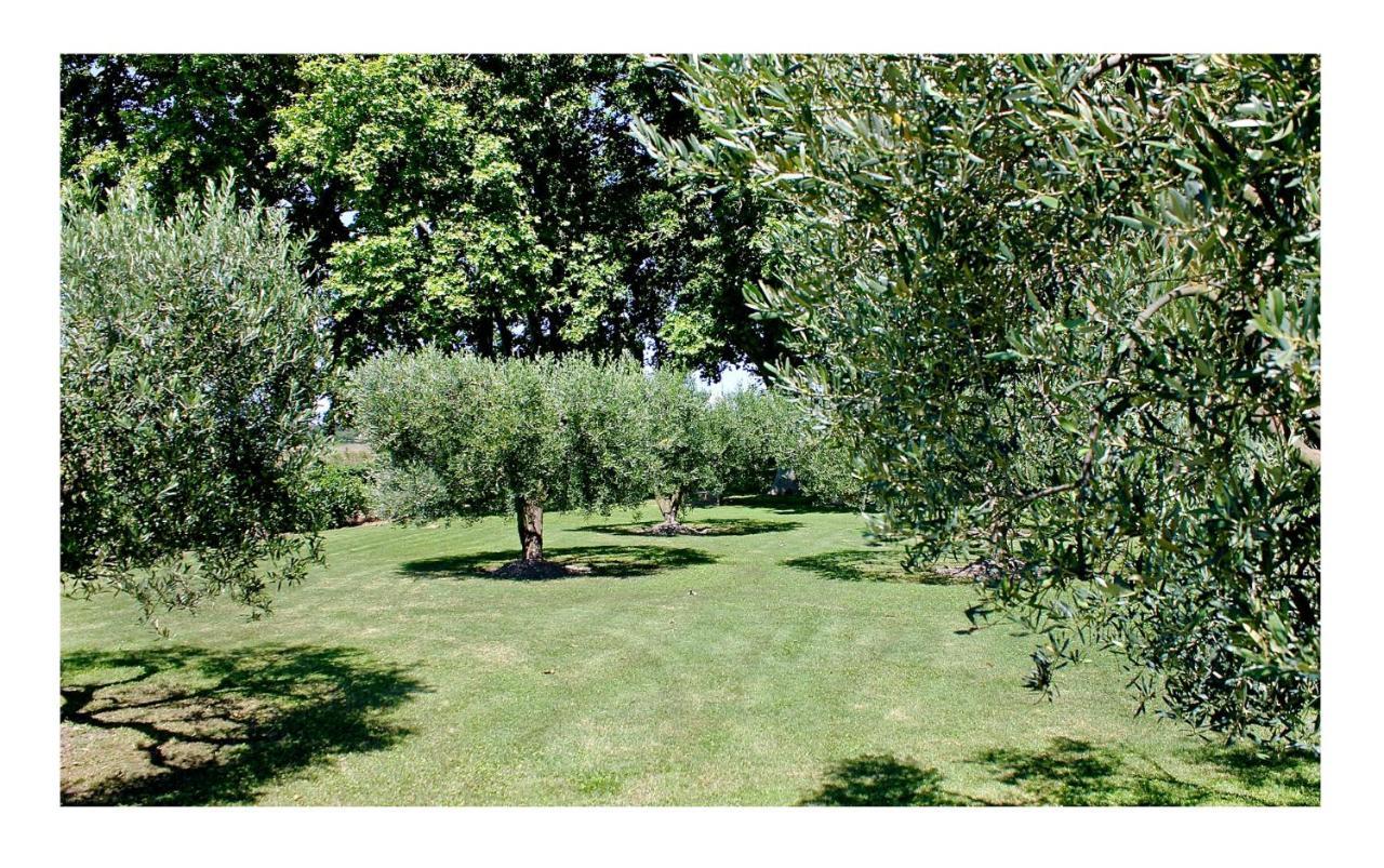 Le Domaine De Laforest フォンヴィエイユ エクステリア 写真