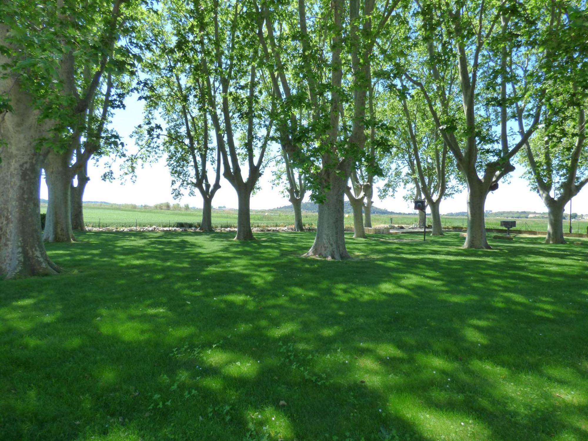 Le Domaine De Laforest フォンヴィエイユ エクステリア 写真