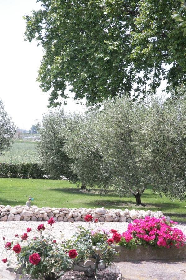 Le Domaine De Laforest フォンヴィエイユ エクステリア 写真